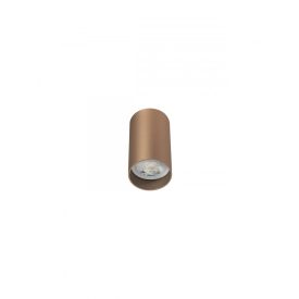 Redo Mennyezeti lámpa 01-2146 AXIS