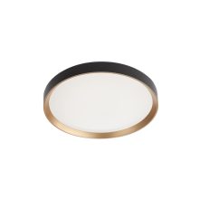 Redo Mennyezeti lámpa 01-2970 CASTER