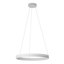 Redo Függeszték 01-3774 VALDIS