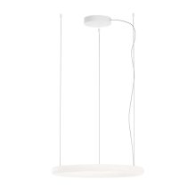 Redo Függeszték 01-4456 HALLEY