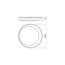 Redo Mennyezeti lámpa 05-901 PADDY