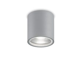 Ideal Lux Kültéri mennyezeti lámpa GUN PL1 GRIGIO 163642
