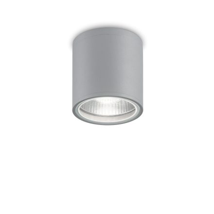 Ideal Lux Kültéri mennyezeti lámpa GUN PL1 GRIGIO 163642