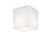 Ideal Lux Kültéri mennyezeti lámpa LUNA PL1 MEDIUM 213194