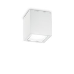   Ideal Lux Kültéri mennyezeti lámpa TECHO PL1 BIG BIANCO 251523