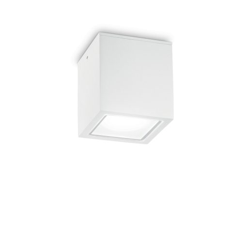 Ideal Lux Kültéri mennyezeti lámpa TECHO PL1 BIG BIANCO 251523