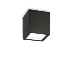   Ideal Lux Kültéri mennyezeti lámpa TECHO PL1 BIG NERO 251530