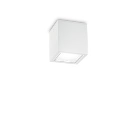   Ideal Lux Kültéri mennyezeti lámpa TECHO PL1 SMALL BIANCO 251561