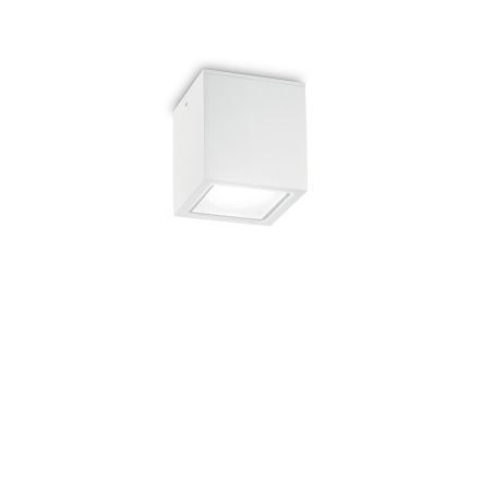 Ideal Lux Kültéri mennyezeti lámpa TECHO PL1 SMALL BIANCO 251561