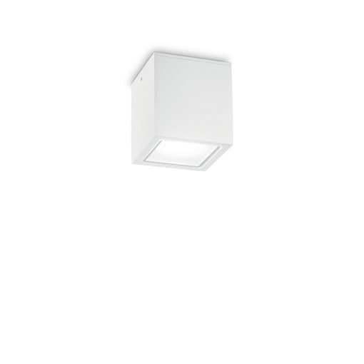 Ideal Lux Kültéri mennyezeti lámpa TECHO PL1 SMALL BIANCO 251561