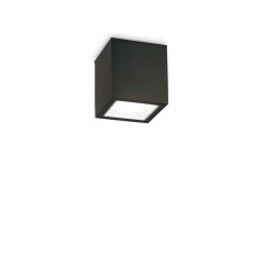   Ideal Lux Kültéri mennyezeti lámpa TECHO PL1 SMALL NERO 251578