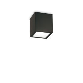   Ideal Lux Kültéri mennyezeti lámpa TECHO PL1 SMALL NERO 251578