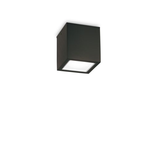 Ideal Lux Kültéri mennyezeti lámpa TECHO PL1 SMALL NERO 251578