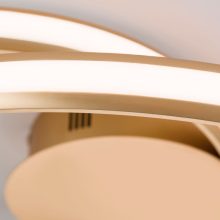 Orion Mennyezeti lámpa OR 7-638 ms-matt CIRCUS 257720