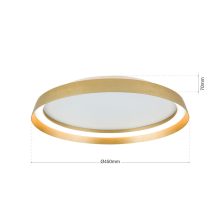 Orion Mennyezeti lámpa OR 7-699-45 gold-matt MANTA 278176