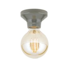 Orion Mennyezeti lámpa  OR 7-679 grau-Kera FROST 280896