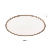 Orion Mennyezeti lámpa  OR 7-704-80 khaki KANT 281671