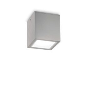   Ideal Lux Kültéri Mennyezeti lámpa TECHO PL1 BIG GRIGIO 326887