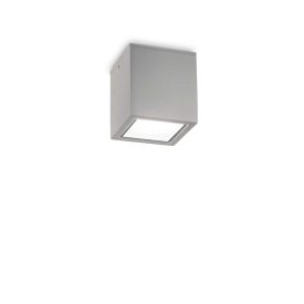   Ideal Lux Kültéri Mennyezeti lámpa TECHO PL1 SMALL GRIGIO 326894