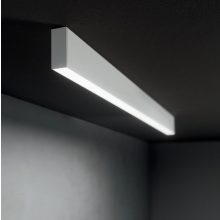 STEEL SP2 D20 BI-EMISSION ACCENT 3000K BIANCO Függeszték STEEL 368832