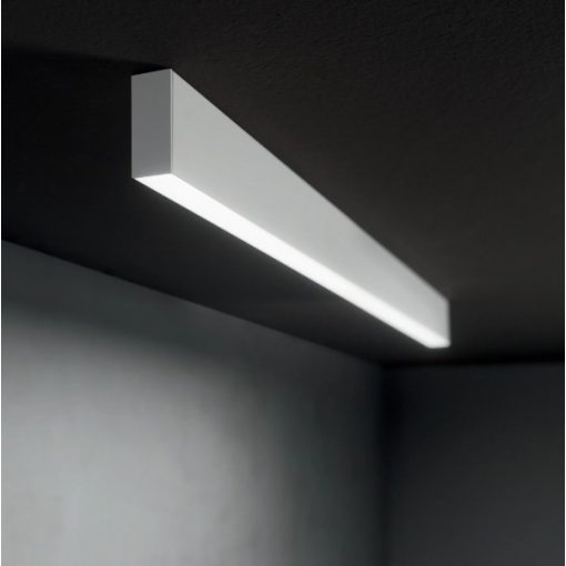 STEEL SP2 D20 BI-EMISSION ACCENT 4000K BIANCO Függeszték STEEL 368863