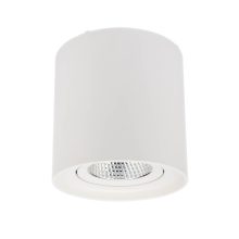 Redo Mennyezeti lámpa 70432 PC