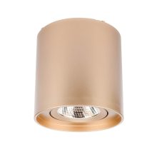 Redo Mennyezeti lámpa 70434 PC