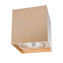 Redo Mennyezeti lámpa 70440 PC