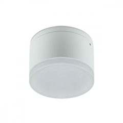 Redo Kültéri mennyezeti lámpa AKRON 90106