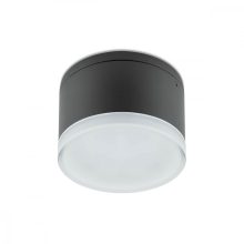 Redo Kültéri mennyezeti lámpa AKRON 90107