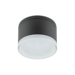 Redo Kültéri mennyezeti lámpa AKRON 90107