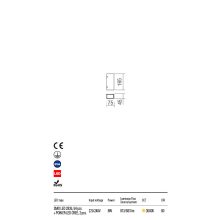 Redo Kültéri fali lámpa IVAR 90114