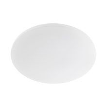 Arelux Mennyezeti lámpa EN03WW XEON