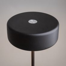 Maytoni Asztali lámpa MOD229TL-L3B3K2 AI COLLABORATION