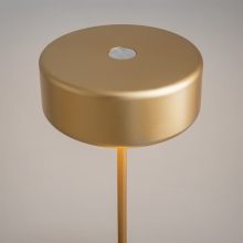 Maytoni Asztali lámpa MOD229TL-L3G3K2 AI COLLABORATION