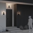 Maytoni Kültéri fali lámpa O449WL-01GF1 CANDLE