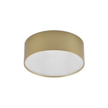 Arelux Mennyezeti lámpa RX03WW SGD XROLL